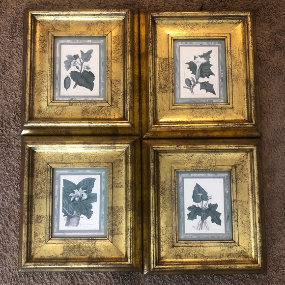 Pictures - Picture 1 of 5